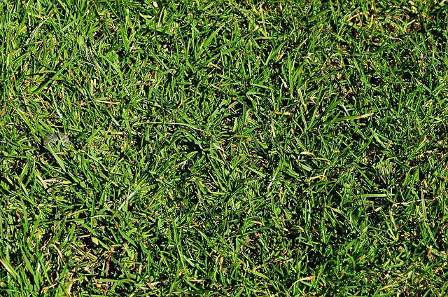 莫兰特和克莱赛后互喷险些爆发冲突，被队友和教练组及时拉开